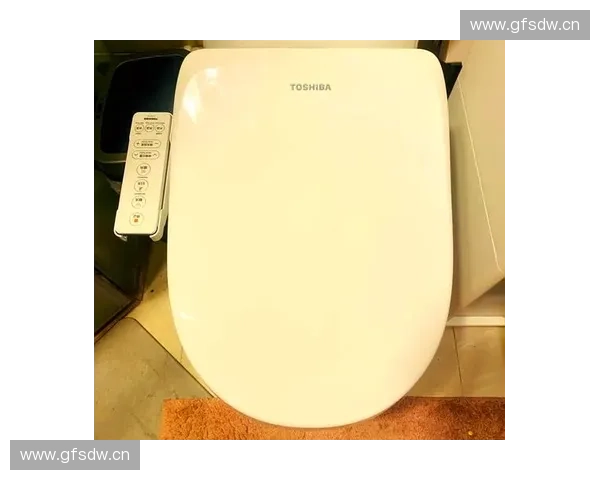 智能马桶与智能马桶盖引领未来家居卫生新潮流提升生活品质体验